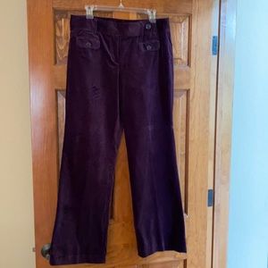 Loft Pants